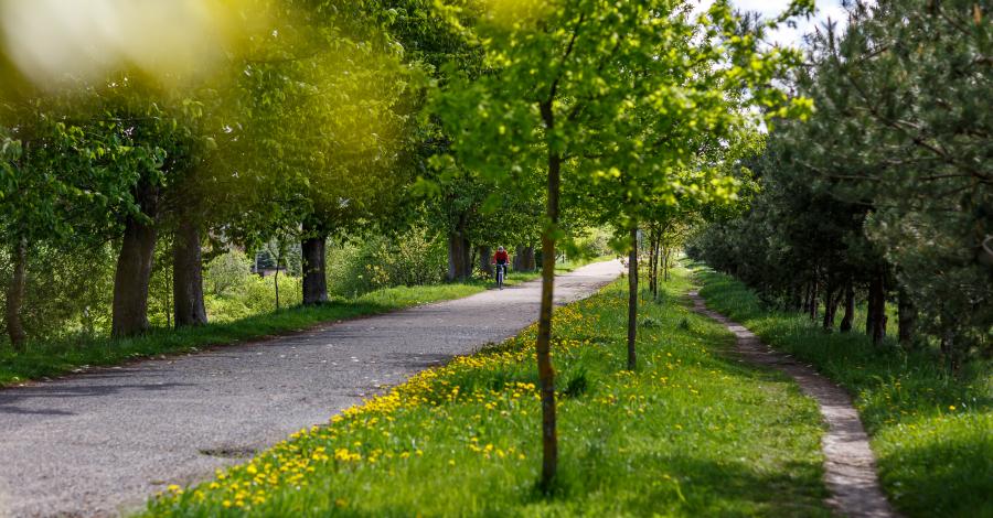 Загородная жизнь